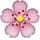 cherryblossom.png