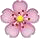 cherryblossom8de6f.png