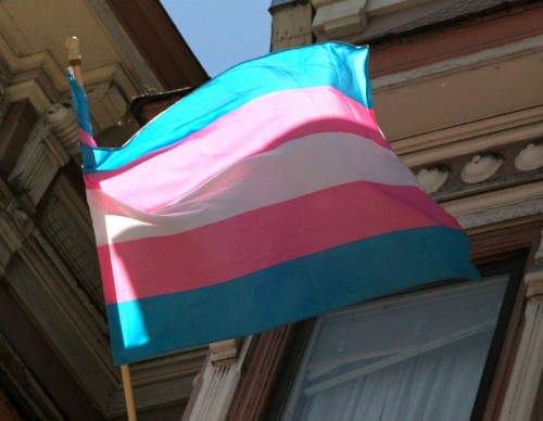 TransFlag-dd6d9ae9-4d3c9510.jpg